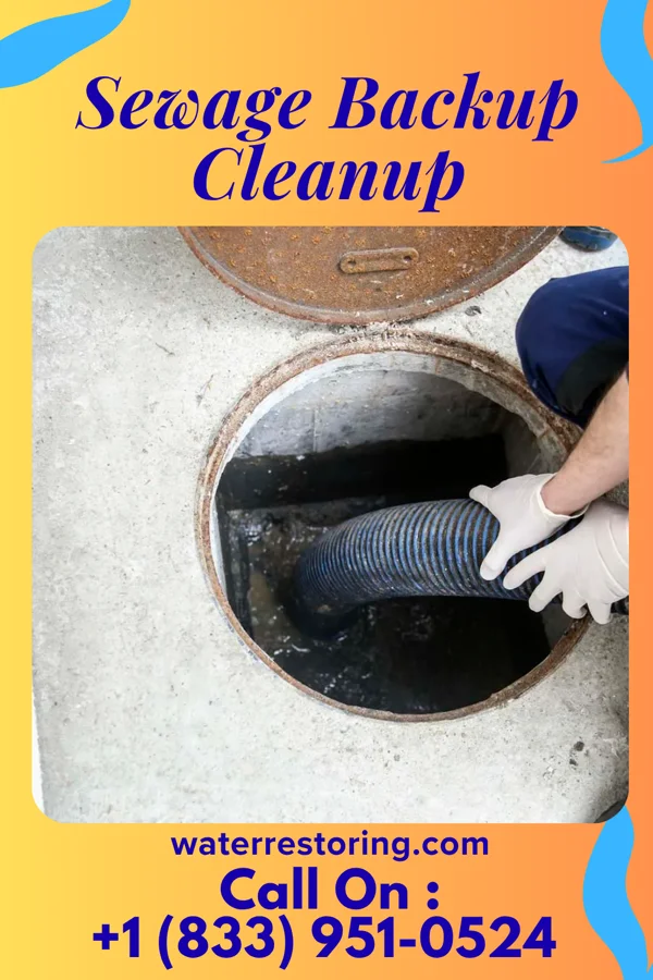 Sewage Backup Cleanup in Church Hill, TN