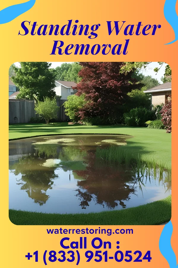 Standing Water Removal in Church Hill, TN